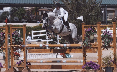 Equestrian horse show