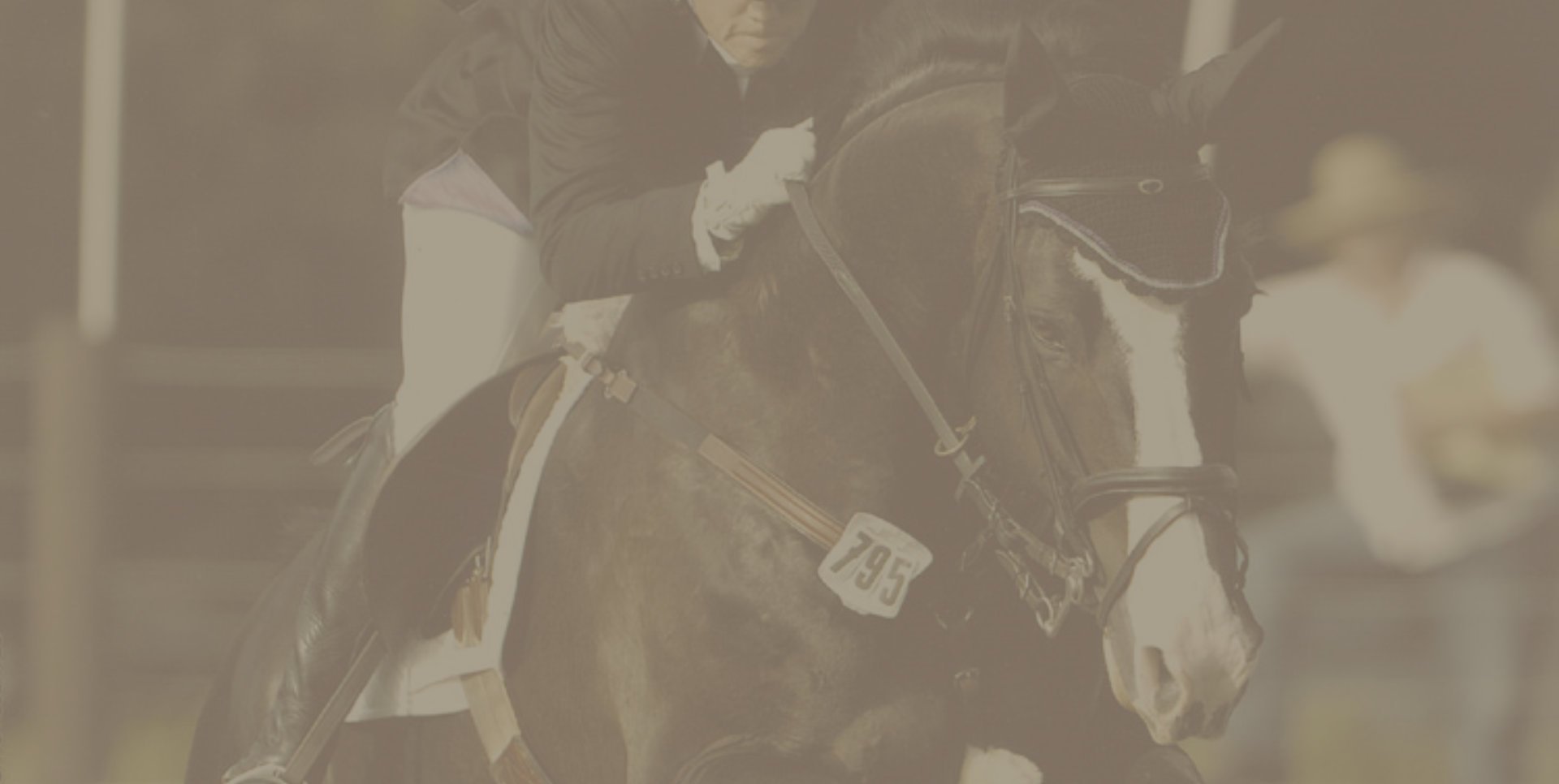home-1 Equestrian header image