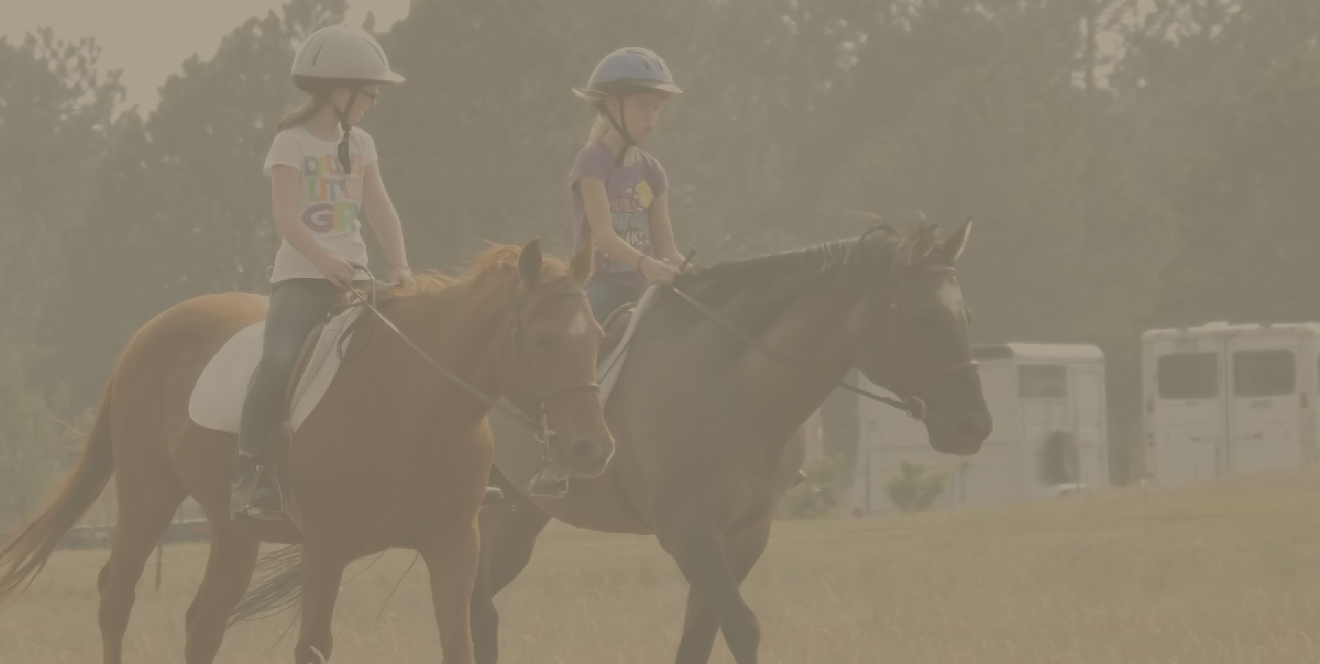 home-5 Riding horses image