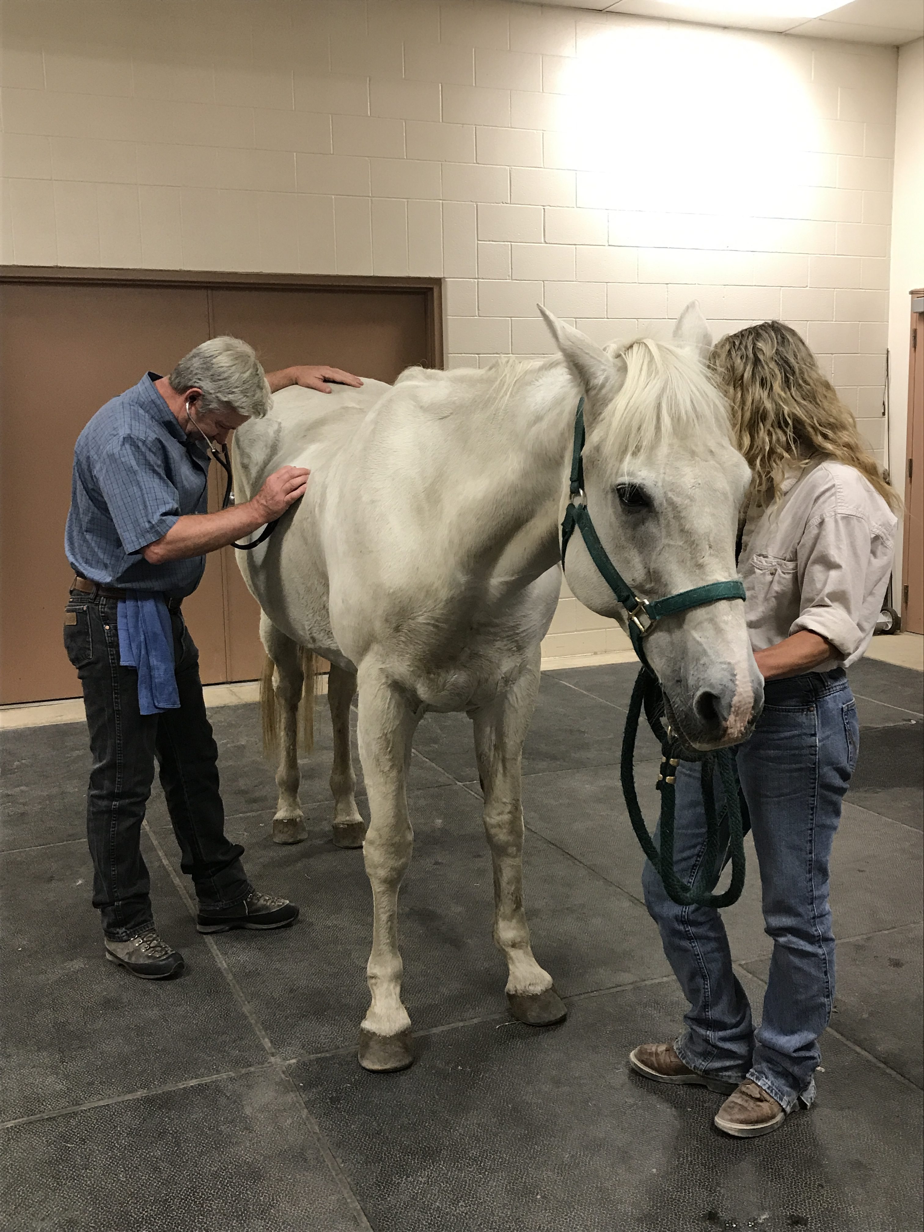 general-health-care-pic-aspen-ridge-equine-hospital-pc