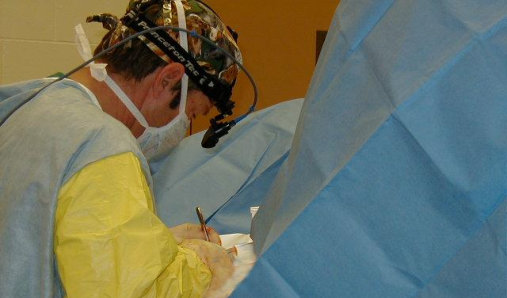 Dr. Woodall equine surgery