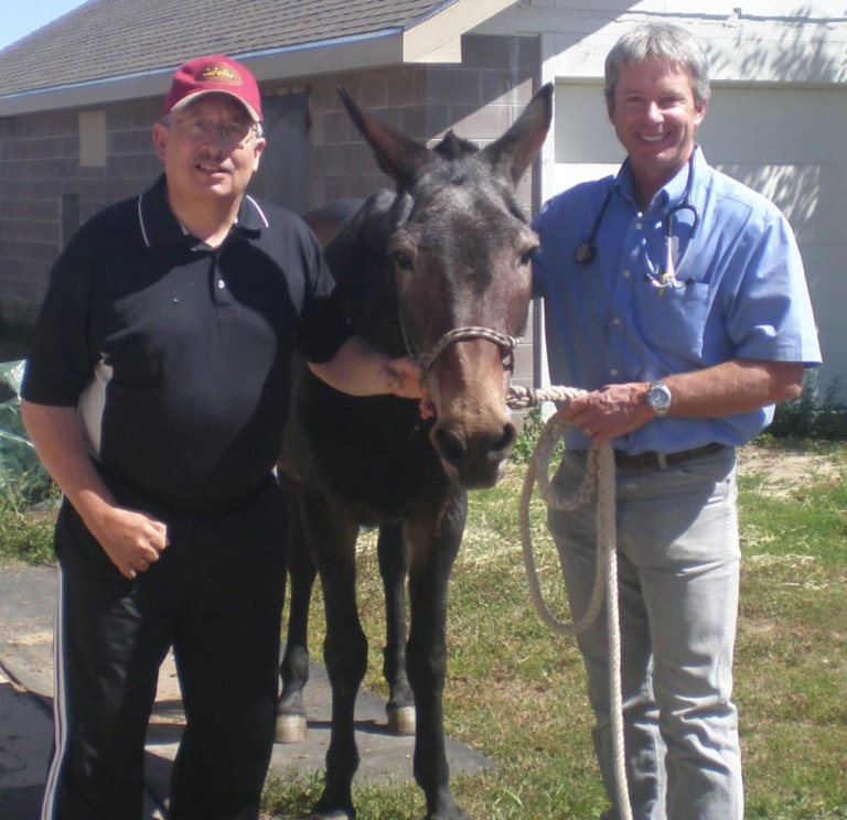Dr. Woodall with healthy horse